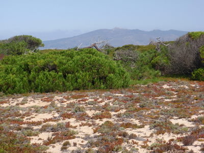 Mountain View, towards Sintra from coast.